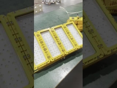 WF2 IP66 জলরোধী উত্তল কাঁচের শেড বিস্ফোরণ-প্রমাণ LED আলো