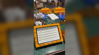 কারখানা এবং বিপদজনক এলাকার জন্য SMD2835/3030 100-110lm/W IP66 LED বিস্ফোরণ প্রমাণ আলো