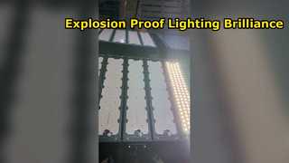 Ip66 ওয়াটারপ্রুফ শুবক্স গার্ডেন রোড লাইটিং অ্যালুমিনিয়াম 200w 300w 400w 500w LED স্ট্রিট লাইট ডেমো