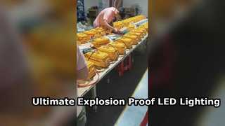 বিপজ্জনক এলাকার জন্য টেম্পার্ড গ্লাস সহ ATEX অনুমোদিত IP65 জলরোধী LED ফ্লাডলাইট