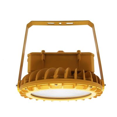 বিপদজনক এলাকার জন্য 30W সিলিং-এ মাউন্ট করা IP66 বিস্ফোরণ প্রমাণ আলো