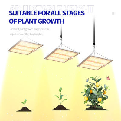 600w HPS 4x4 গ্রো লাইট প্ল্যান্ট ল্যাম্প ফুল ও ফল ধরাতে সহায়ক