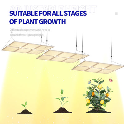 উদ্ভিদের সর্বোত্তম বৃদ্ধির জন্য ডিমযোগ্য ফাংশন সহ 600W ফুল স্পেকট্রাম LED গ্রো লাইট