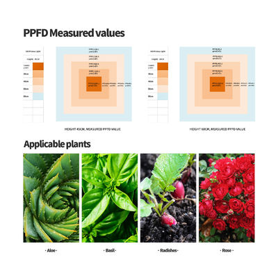 উদ্ভিদের সর্বোত্তম বৃদ্ধির জন্য ডিমযোগ্য ফাংশন সহ 600W ফুল স্পেকট্রাম LED গ্রো লাইট