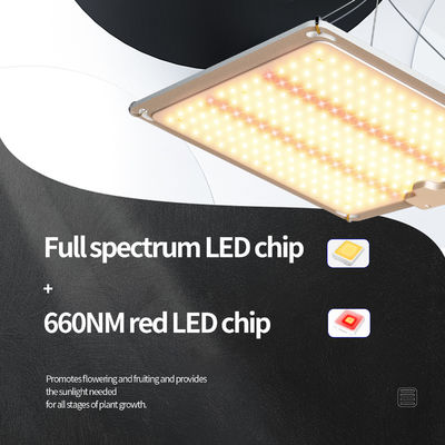 Led প্যানেল 3x3 গ্রো লাইট প্ল্যান্ট ল্যাম্প লাইট 600w