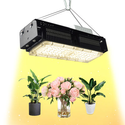 AC85V-265V ঘরোয়া উদ্ভিদের জন্য ইনডোর নেতৃত্বাধীন বৃদ্ধি লাইট 50W