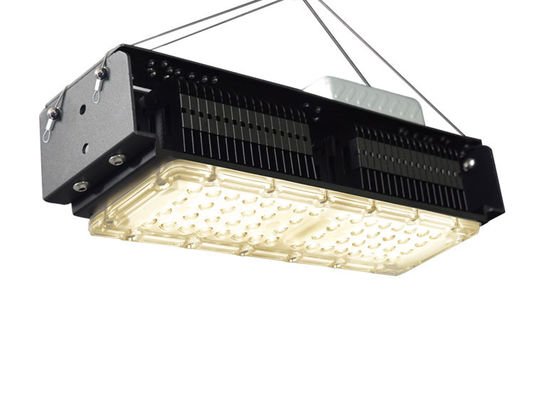 AC85V-265V ঘরোয়া উদ্ভিদের জন্য ইনডোর নেতৃত্বাধীন বৃদ্ধি লাইট 50W