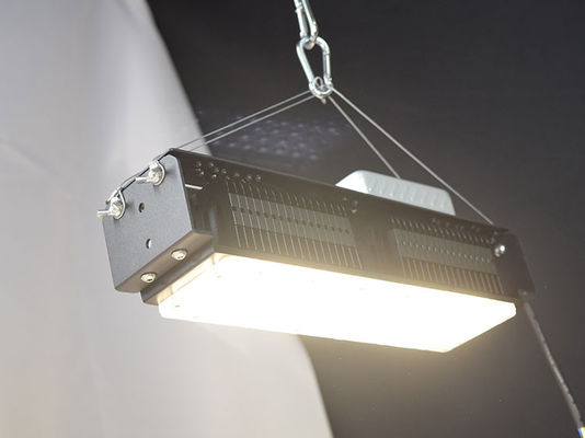 AC85V-265V ঘরোয়া উদ্ভিদের জন্য ইনডোর নেতৃত্বাধীন বৃদ্ধি লাইট 50W