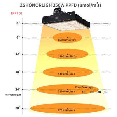 ইনডোর গাছের জন্য প্যাসিভ থার্মাল ম্যানেজমেন্ট সহ ফুল স্পেকট্রাম ২৫০W T5 LED গ্রো লাইট
