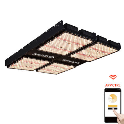 1000W ইনডোর হাউস প্ল্যান্ট লাইট 4x4 গ্রো লাইট