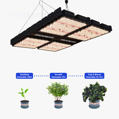 1000W ইনডোর হাউস প্ল্যান্ট লাইট 4x4 গ্রো লাইট
