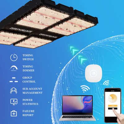 টাইমার কন্ট্রোল সহ ইনডোর উদ্ভিদের জন্য 1000W ফুল স্পেকট্রাম ডিমমেবল এলইডি গ্রো লাইট