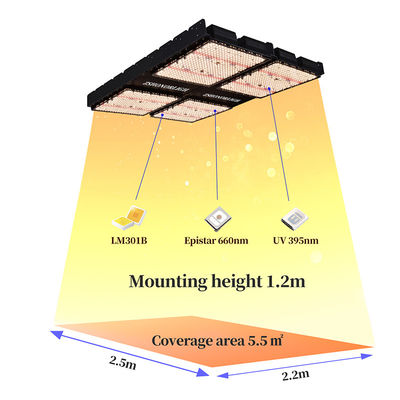 টাইমার কন্ট্রোল সহ ইনডোর উদ্ভিদের জন্য 1000W ফুল স্পেকট্রাম ডিমমেবল এলইডি গ্রো লাইট