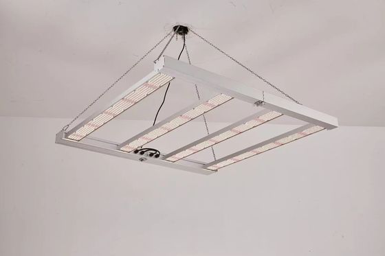 ফোল্ডেবল 4T LED গ্রো লাইট 600W 800W বাণিজ্যিক জন্য
