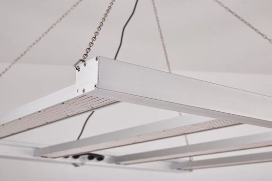 বাণিজ্যিক উদ্ভিদ চাষের জন্য ভাঁজযোগ্য 600W ফুল স্পেকট্রাম এলইডি গ্রো লাইট