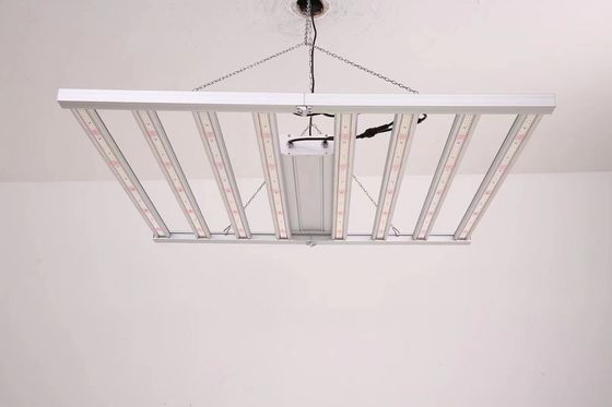 ফোল্ডেবল 4T LED গ্রো লাইট 600W 800W বাণিজ্যিক জন্য