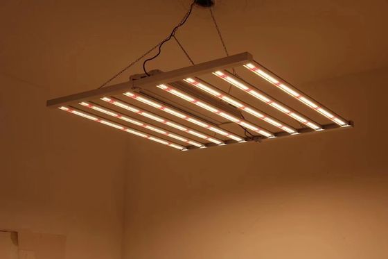ভাঁজযোগ্য 8T গ্রিনহাউস গ্রো লাইট 800W 1000W এইচপিএস
