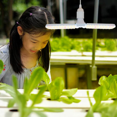 ইনডোর গাছের বৃদ্ধির জন্য ফুল স্পেকট্রাম + 660nm এবং IP68 জলরোধী সহ কমপ্যাক্ট এলইডি গ্রো লাইট