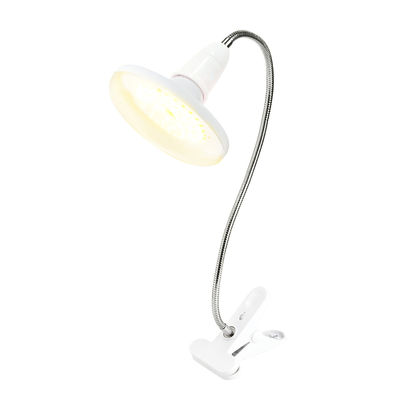 10W 20W ফুল স্পেকট্রাম LED গ্রো লাইট, IP67 জলরোধী, সকল গাছের বৃদ্ধির স্তরের জন্য