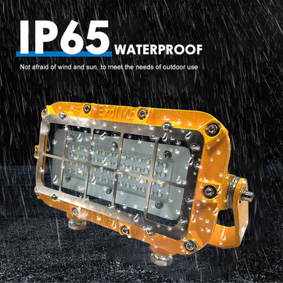 45W পরিবর্তনযোগ্য রঙের তাপমাত্রা 2700K-6500K IP65/IP66 বিস্ফোরণ প্রমাণ মাইনিং লাইট, 50,000 ঘন্টা পরিষেবা জীবন সহ