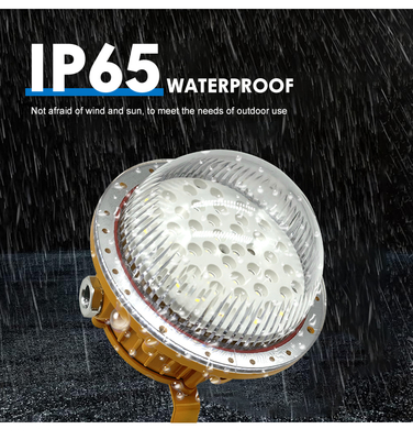 বিস্ফোরণ-প্রমাণ আলো Ip65 গ্যাস স্টেশন আলো 50w 100w 150w LED বিস্ফোরণ প্রমাণ বাতি