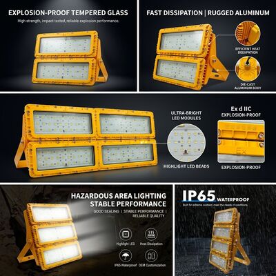 আইপি 65 আবহাওয়া প্রতিরোধী 600W এলইডি বিস্ফোরণ প্রতিরোধী বন্যা আলো -40C/60C LUMILEDS LM-80 ATEX IIb T6 WF2 বিপজ্জনক এলাকা ফিক্সচার