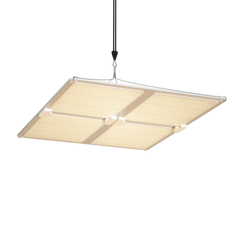 ইনডোর গাছের বৃদ্ধির জন্য নিয়মিত ঝুলন্ত উচ্চতা সহ 400W পাওয়ার আউটপুট ফুল স্পেকট্রাম LED গ্রো লাইট