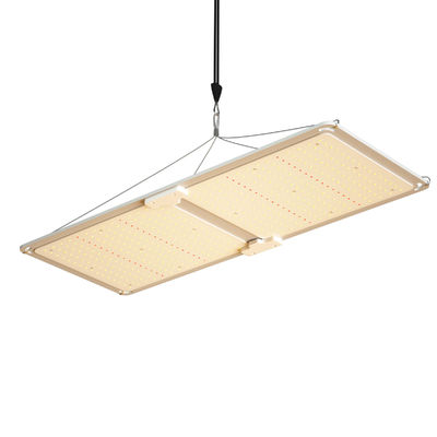 200W ফুল স্পেকট্রাম ডিমমেবল LED গ্রো লাইট T5 গ্রিনহাউস আলোর সিস্টেম উদ্ভিদ বৃদ্ধির জন্য