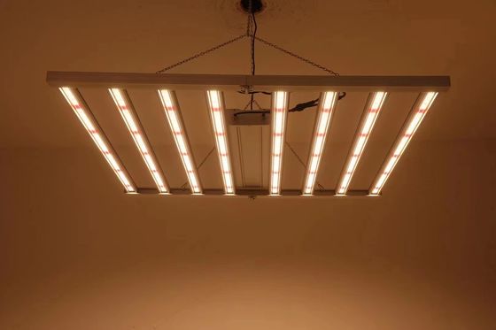 ভাঁজযোগ্য 8T গ্রিনহাউস গ্রো লাইট 800W 1000W এইচপিএস